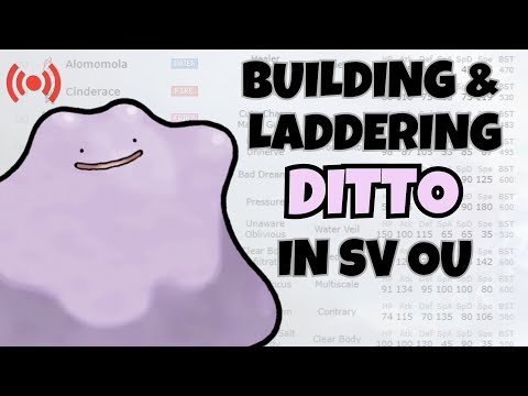 Ditto Beats the Fraud Allegations!