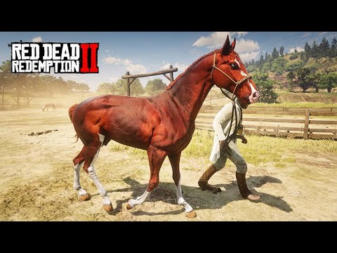 Which is the MOST BEAUTIFUL HORSE? 2nd CHAMPIONSHIP OF THE MOST BEAUTIFUL HORSES - YOU VOTE!