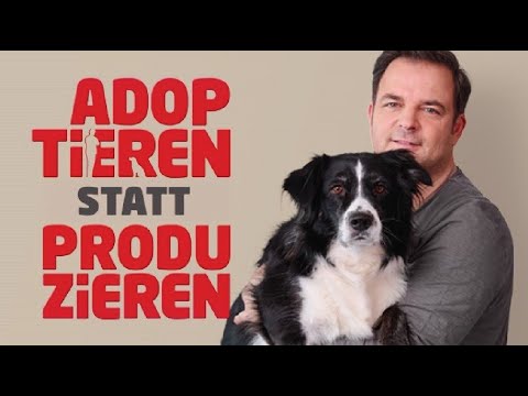 Hundetraining Martin Rütter -▶ Bellen Leinenaggression - Online Hundeschule Conny Sporrer ▼▼