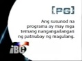 IBC 13 PG Advisory 2002