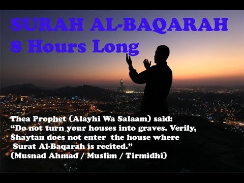download lagu mp3 mp4 Al Baqarah 8, download lagu Al Baqarah 8 gratis, unduh video klip Al Baqarah 8