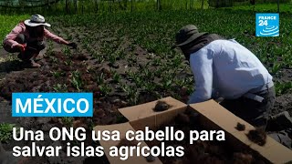 Thumbnail del capítulo