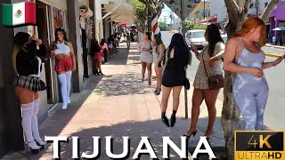 Tijuana Zona Norte Flea Market – Raw Street Life & Bargains