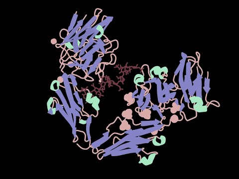 In depth analysis of fgf1-fgfr2 heparin complex