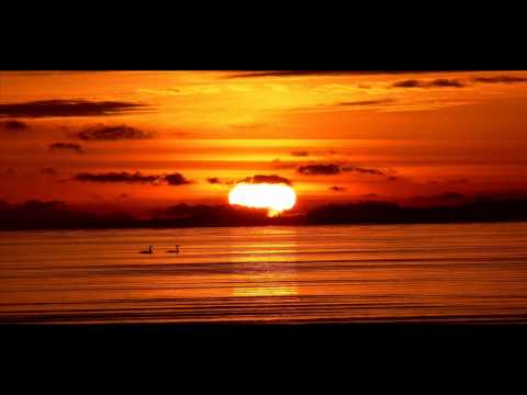 Muszla - Szczęście (Lujek #7)