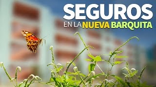 Seguros en la Nueva Barquita