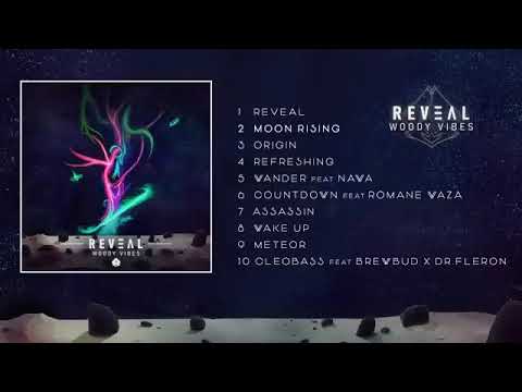 Woody Vibes   Reveal  Full album