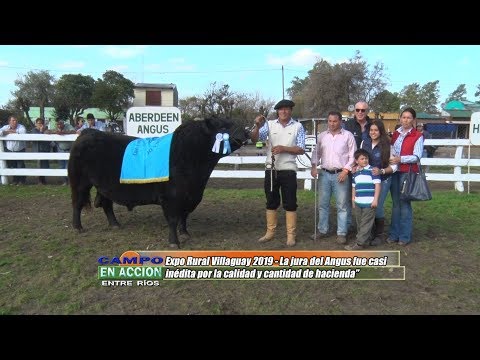 Jura Angus Expo Rural Villaguay 2019 - Pablo Fichman y Julian Pessolani
