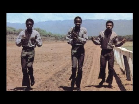 The Slickers - Johnny Too Bad