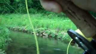 preview picture of video 'Fly fishing on a Wisconsin spring creek in the Driftless Area-Brook Trout'