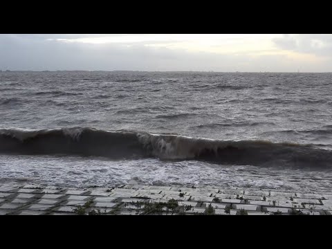 Brokdorf Elbe Wellen bis 1 Meter Höhe.