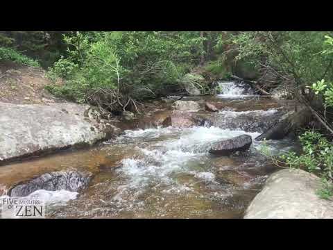 Spring in the rocky mountain national park FMOZ 022