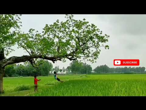 Childhood Memories/Village lifestyle/ Evening ☀️ view/Nature lover/Good environment