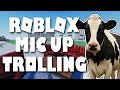 They Keep Wanting To Milk The Cow Roblox Mic Up Trolling