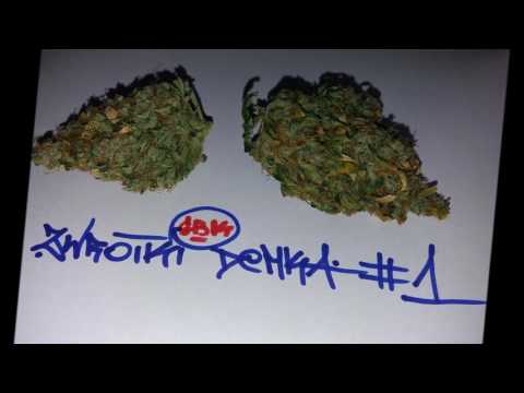 Pawlik GBK - Zwrotki demka #1