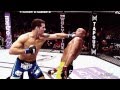 Chris Weidman 2014 UFC Highlights 