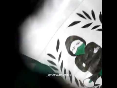 Story Bonek & Bonita (GreenNord)