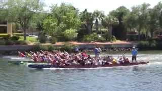 preview picture of video 'Dragon Boats Practicing in Tampa, Florida (April 23rd, 2014)'