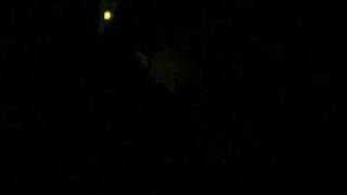 Amnos - Invert the inverted cross (Horde cover)