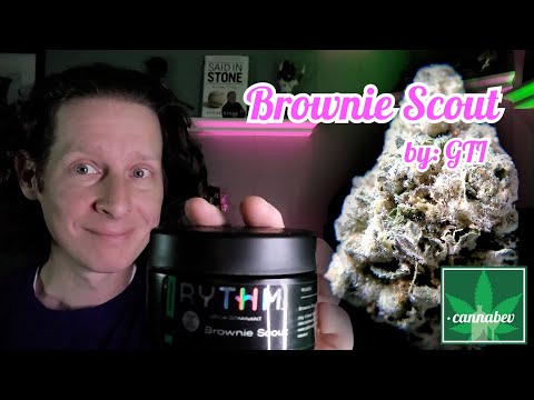 GTI Brownie Scout - Illinois Cannabis Review