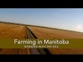 Farming In Manitoba