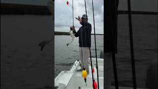 Music video thumbnail preview for DEEP SEA MONSTER! Fisherman Catches Bizarre Anglerfish on Boat! 🎣👽 | Rare Creature Footage by Sea Level