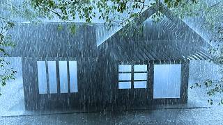 Cure Insomnia with Heavy Rain & Whistling Thunder Sounds on Mossy Corrugated Iron Roof in White Mist