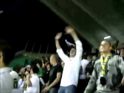 Sporting Lokeren compilatie van Sfeer