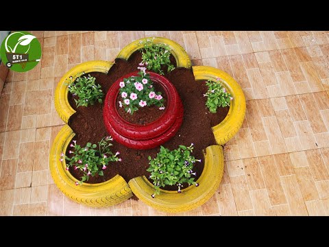 Let s grow bitter melon for your family this way it s very fruity and easy to make