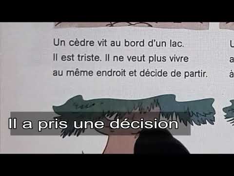 Français, 3ème année pr, p140, L169