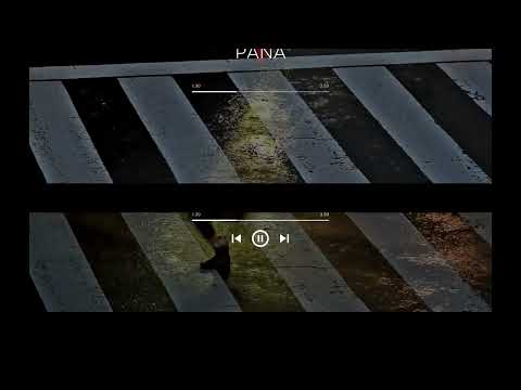 Badmvn Telem - PANA ft VDKei Crazy Boy (official audio) #badmvn_telem