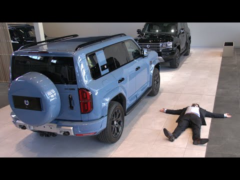 IT’S HERE! First DENZA B5 Delivered in Melbourne!