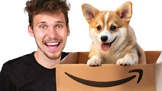 I Bought The *WEIRDEST* Amazon Items!