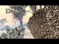 Palisades Fire - Via de La Paz to Via de las Olas.mp4