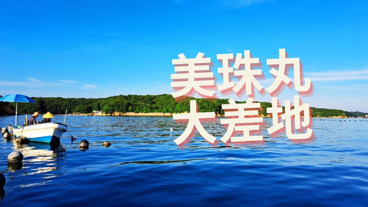 美珠丸で真夏のクロダイ釣り久しぶりに顔を見ることができました。