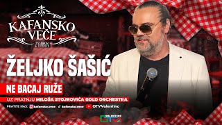 ZEJKO SASIC - NE BACAJ RUZE MAJKO | UZIVO | ORK MILOS STOJKOVIC I GOLD | 2025 | KAFANSKO VECE