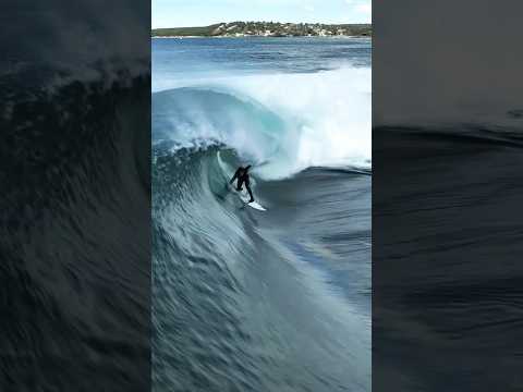 SHARK ISLAND DRAINPIP 💥 Shaun Petersen 🚁 #surf