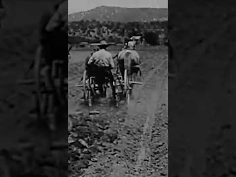 Texas Hill Country de LBJ #história #presidente #texas #lbj