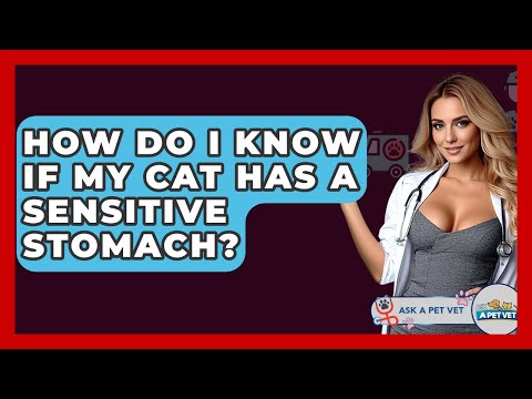 How Do I Know If My Cat Has A Sensitive Stomach? - Ask A Pet Vet
