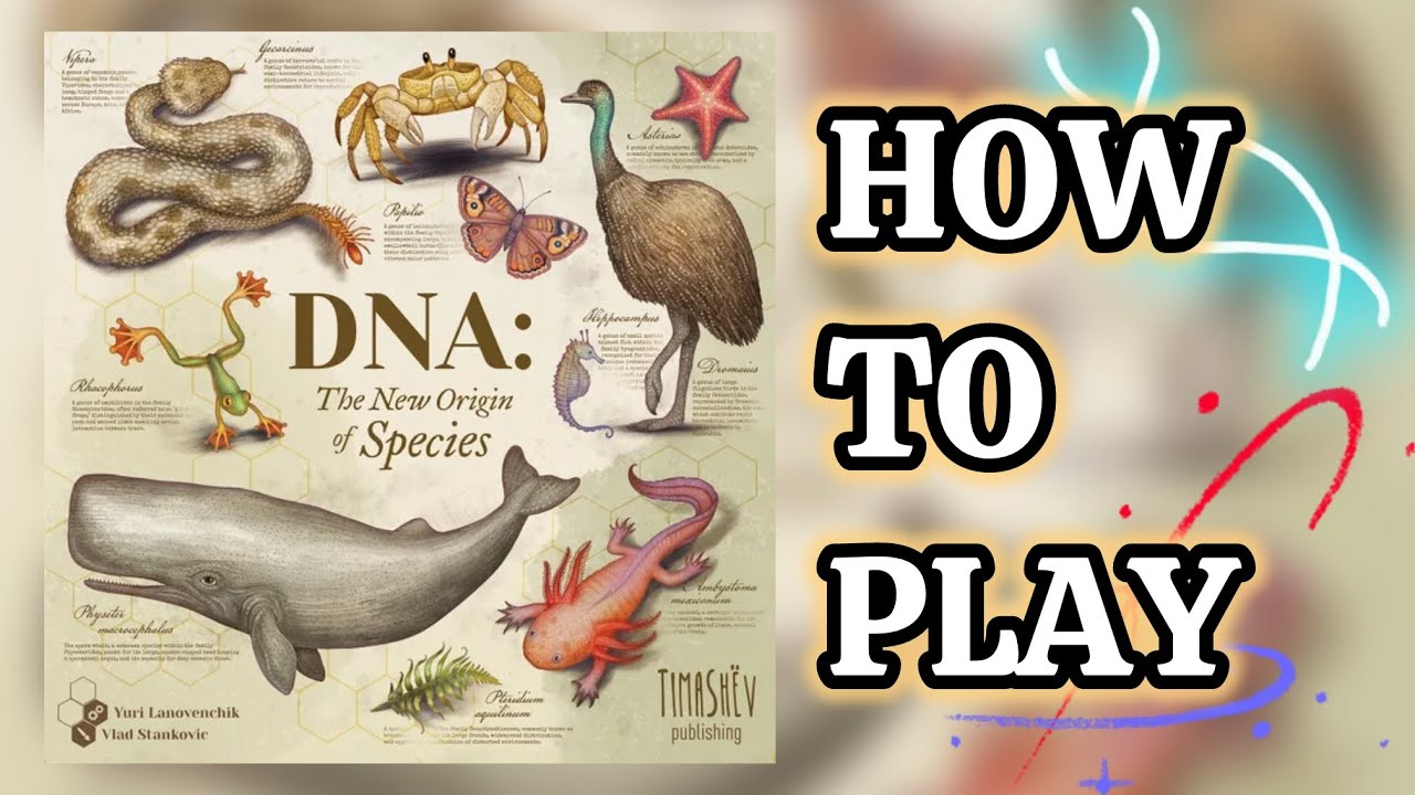 HOW TO PLAY DNA in under 4 minutes!