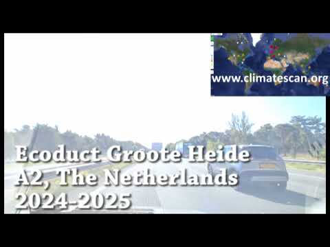 Ecoduct Groote Heide A2, The Netherlands 2024 2025