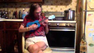 Glass Box, Uke and Guitar, cover of George Harrison Wonderwall music
