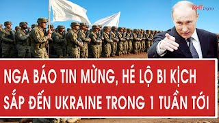 Nga báo tin mừng, hé lộ bi kịch sắp đến Ukraine trong 1 tuần tới