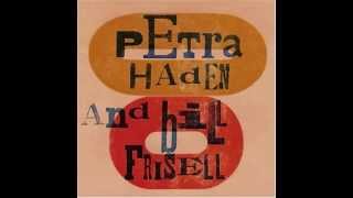 SATELLITE  (Elliott Smith) - Bill Frisell / Petra Haden