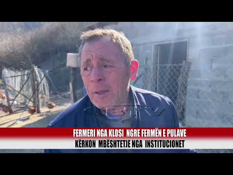 Fermeri nga Klosi  ngre fermën e pulave, kërkon mbështetje nga institucionet- Bulqiza Tv