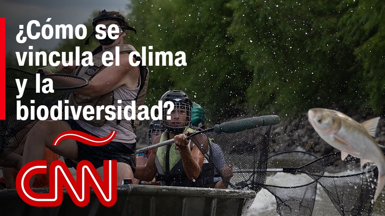 La importancia de la inversión de la biodiversidad, según experta