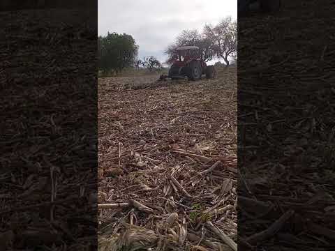 en algún lugar de San Agustín tlalixticapa alfajayucan Hidalgo México saludos..