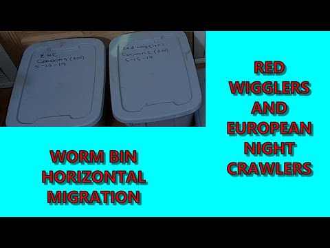 WORM BIN MIGRATION DECEMBER 2020