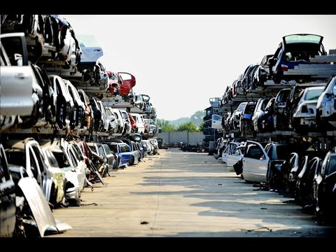 Zobacz filmy, Rago Kasacja samochodów, Stacja kontroli pojazdów, Michów