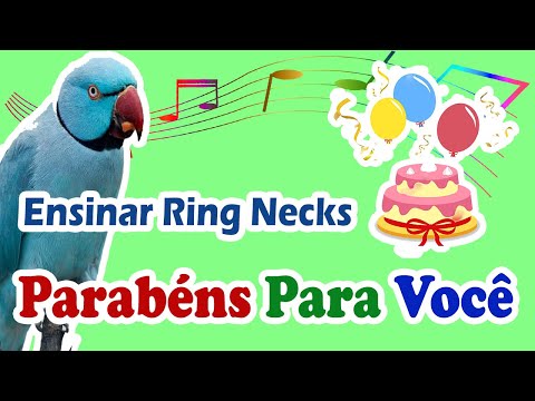 Assobio ring neck -  canto parabéns para você para treinar ring neck